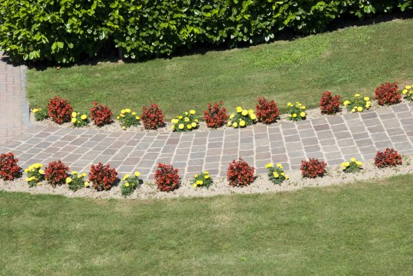 Cost of Garden Paving in Wilmington