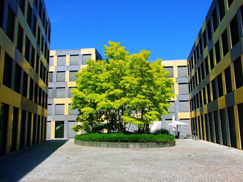 Courtyard Construction Service