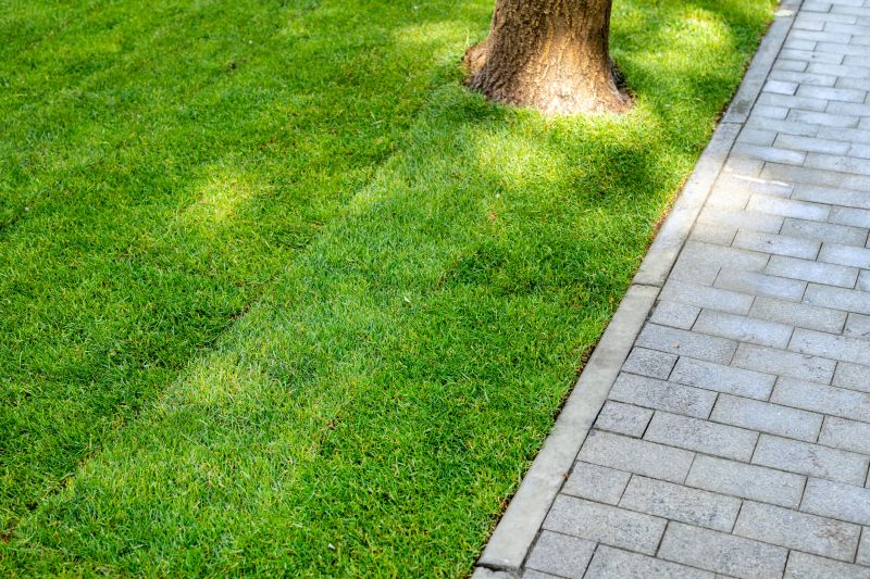 Limestone Walkway Installation