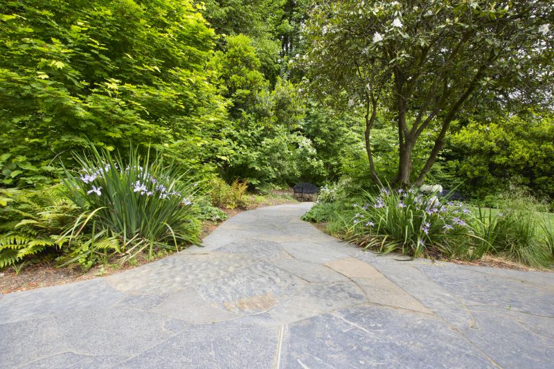 Elegant Paver Walkway